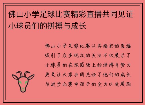 佛山小学足球比赛精彩直播共同见证小球员们的拼搏与成长